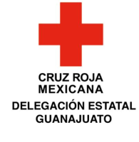 Capacitación Estatal Guanajuato